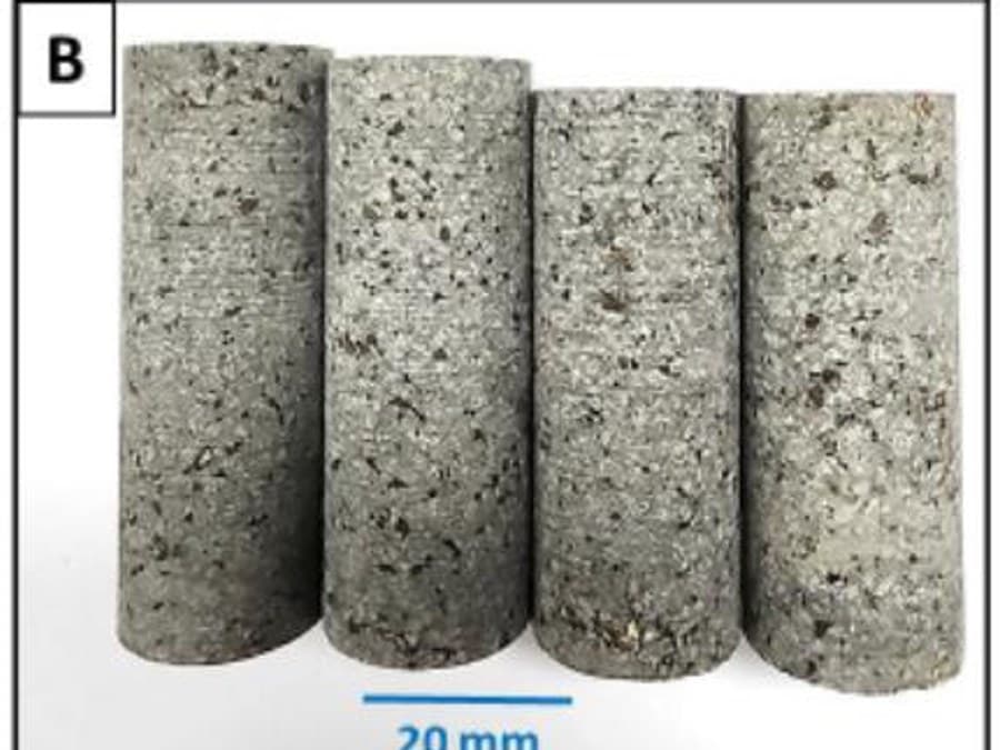 Recovered rock core samples from the volcanic slope with a scale bar for reference