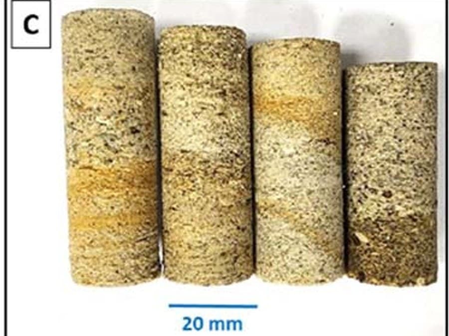 Recovered rock core samples showing an interbedded sandstone-limestone sequence, with a scale bar for reference